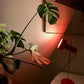 Vintage Table Lamp